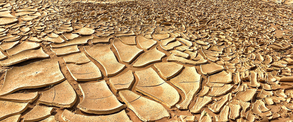 terreno desértico cuarteado y sin agua