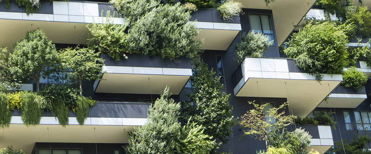 fachada de edificio con mucha vegetación